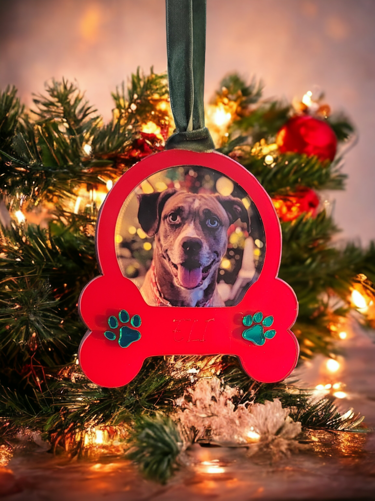 Personalized Pet Ornament